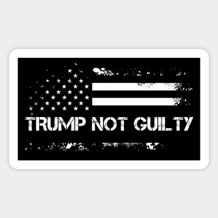 Trump Not Guilty, We Are Trump. Magnet